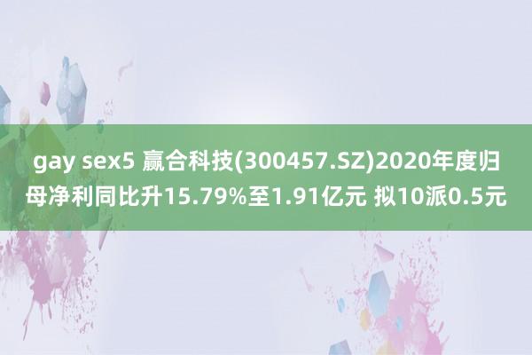 gay sex5 赢合科技(300457.SZ)2020年度归母净利同比升15.79%至1.91亿元 拟10派0.5元