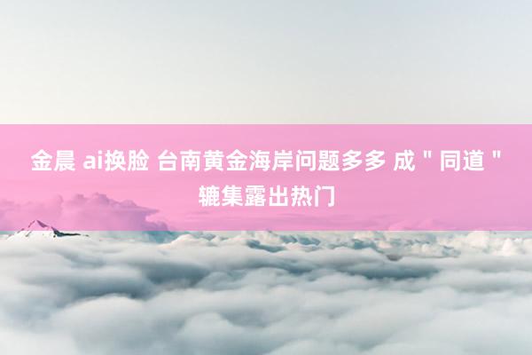 金晨 ai换脸 台南黄金海岸问题多多 成＂同道＂辘集露出热门