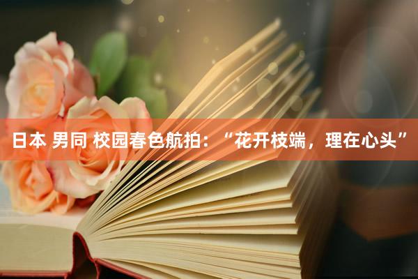 日本 男同 校园春色航拍：“花开枝端，理在心头”