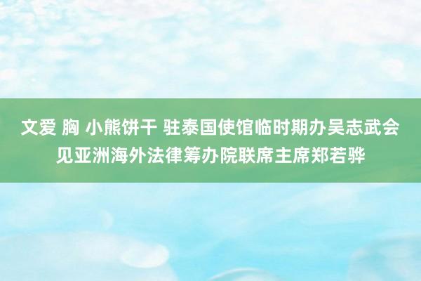 文爱 胸 小熊饼干 驻泰国使馆临时期办吴志武会见亚洲海外法律筹办院联席主席郑若骅