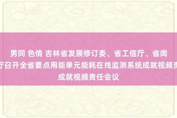 男同 色情 吉林省发展修订委、省工信厅、省阛阓监管厅召开全省要点用能单元能耗在线监测系统成就视频责任会议