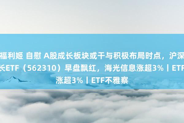 福利姬 自慰 A股成长板块或干与积极布局时点，沪深300成长ETF（562310）早盘飘红，海光信息涨超3%丨ETF不雅察
