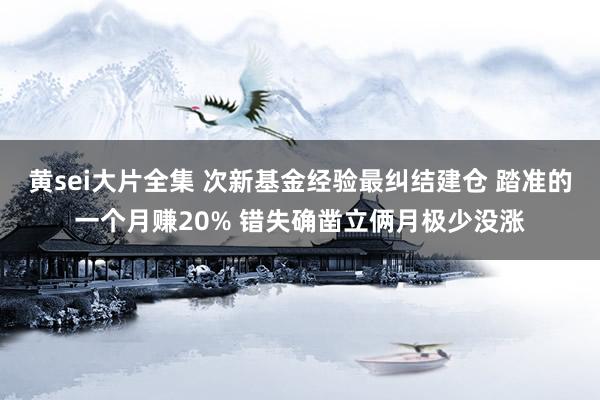 黄sei大片全集 次新基金经验最纠结建仓 踏准的一个月赚20% 错失确凿立俩月极少没涨
