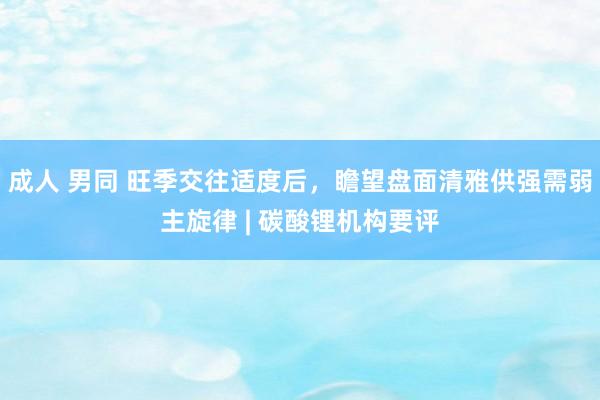 成人 男同 旺季交往适度后，瞻望盘面清雅供强需弱主旋律 | 碳酸锂机构要评