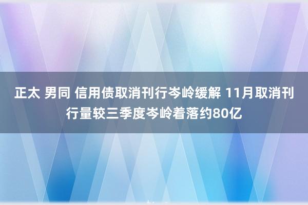 正太 男同 信用债取消刊行岑岭缓解 11月取消刊行量较三季度岑岭着落约80亿