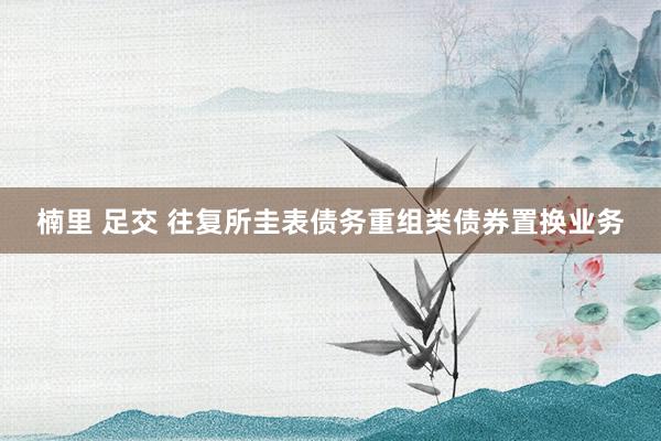 楠里 足交 往复所圭表债务重组类债券置换业务