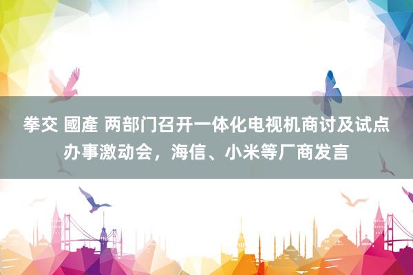 拳交 國產 两部门召开一体化电视机商讨及试点办事激动会，海信、小米等厂商发言